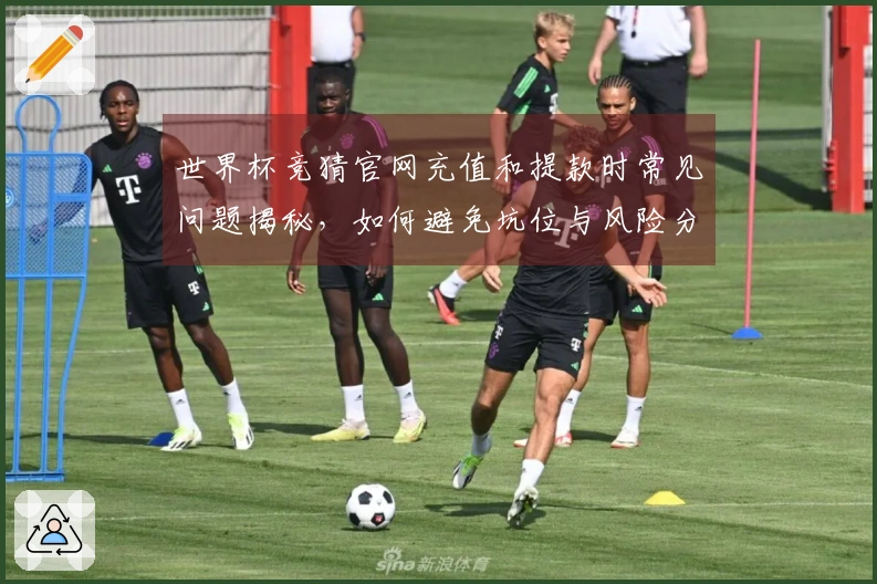 世界杯竞猜官网充值和提款时常见问题揭秘，如何避免坑位与风险分析