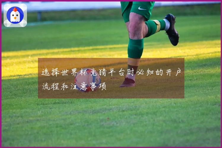 选择世界杯竞猜平台时必知的开户流程和注意事项