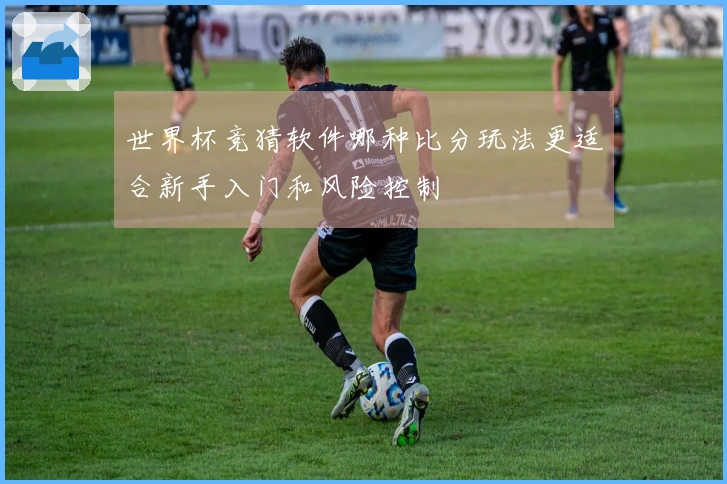 世界杯竞猜软件哪种比分玩法更适合新手入门和风险控制