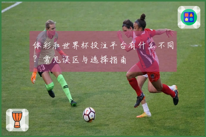 体彩和世界杯投注平台有什么不同？常见误区与选择指南