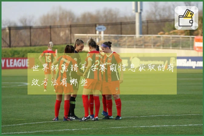 世界杯竞猜平台赛前信息获取的有效方法有哪些