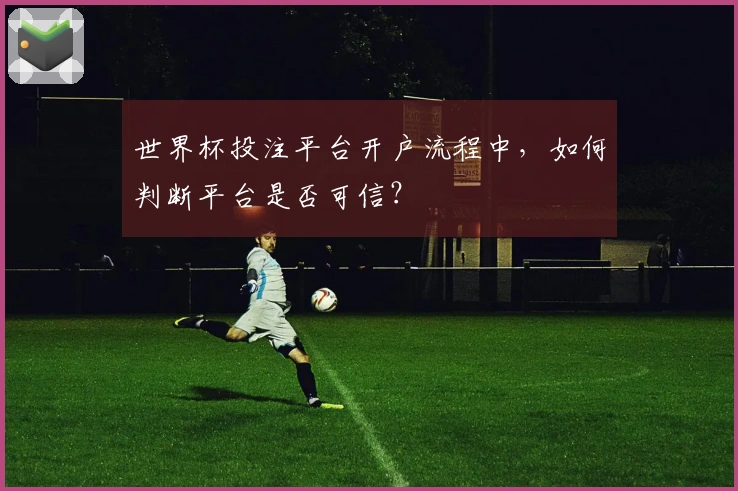 世界杯投注平台开户流程中，如何判断平台是否可信？
