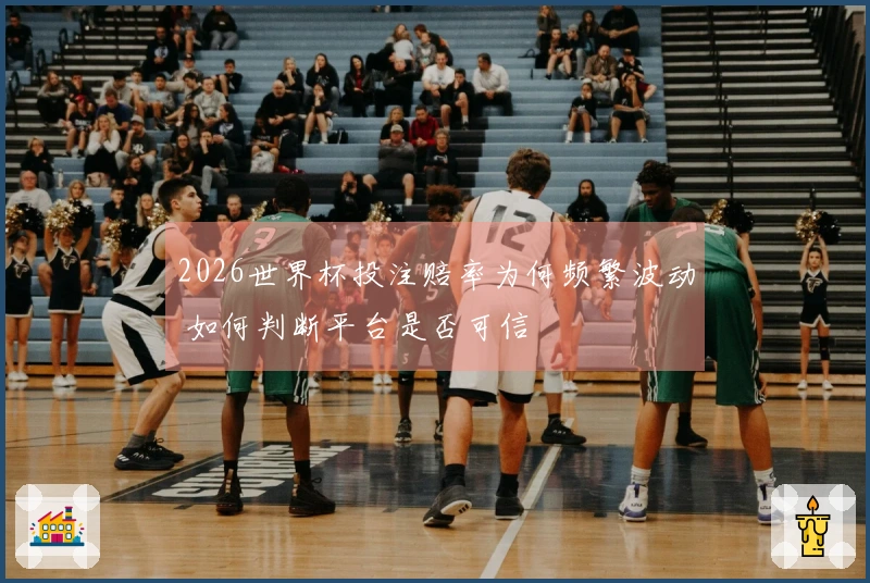 2026世界杯投注赔率为何频繁波动 如何判断平台是否可信