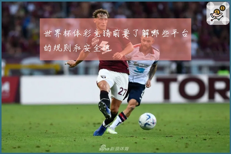 世界杯体彩竞猜前要了解哪些平台的规则和安全性