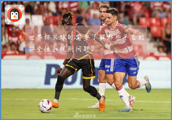 世界杯买球时需要了解哪些平台的安全性和规则问题？