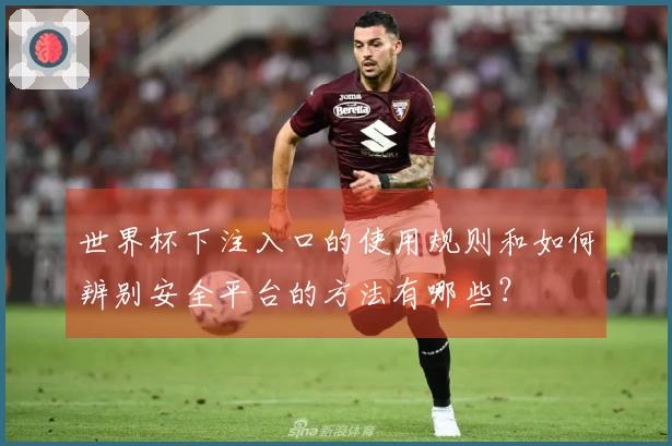 世界杯下注入口的使用规则和如何辨别安全平台的方法有哪些？