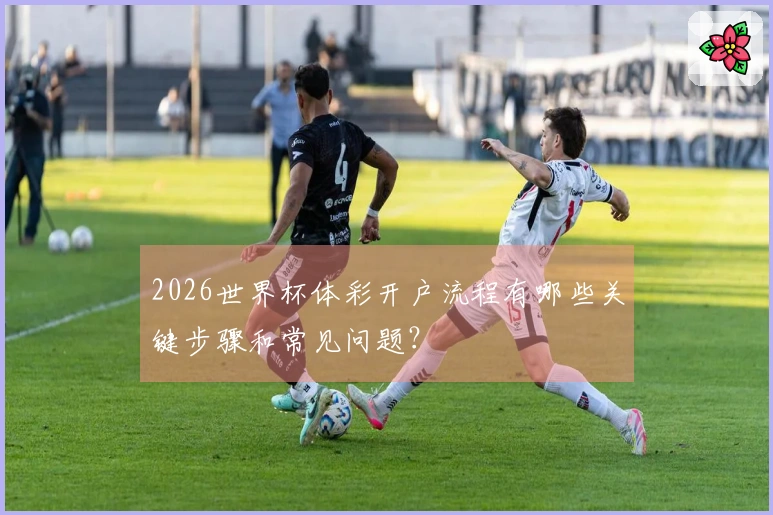 2026世界杯体彩开户流程有哪些关键步骤和常见问题？