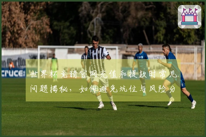 世界杯竞猜官网充值和提款时常见问题揭秘，如何避免坑位与风险分析