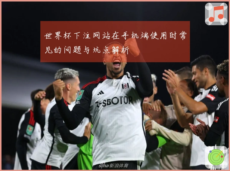 世界杯下注网站在手机端使用时常见的问题与坑点解析