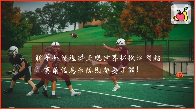 新手如何选择正规世界杯投注网站？赛前信息和规则都要了解！