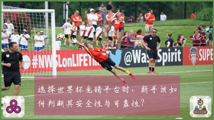 选择世界杯竞猜平台时，新手该如何判断其安全性与可靠性？