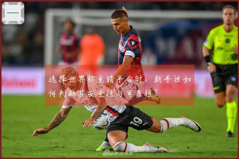 选择世界杯竞猜平台时，新手该如何判断其安全性与可靠性？