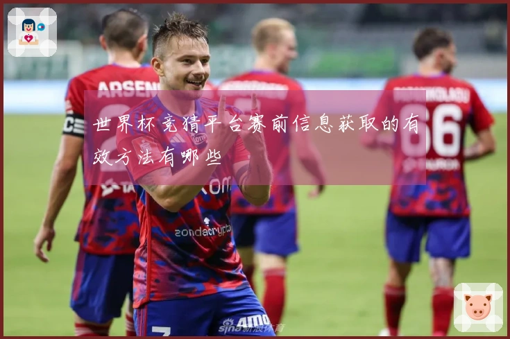 世界杯竞猜平台赛前信息获取的有效方法有哪些