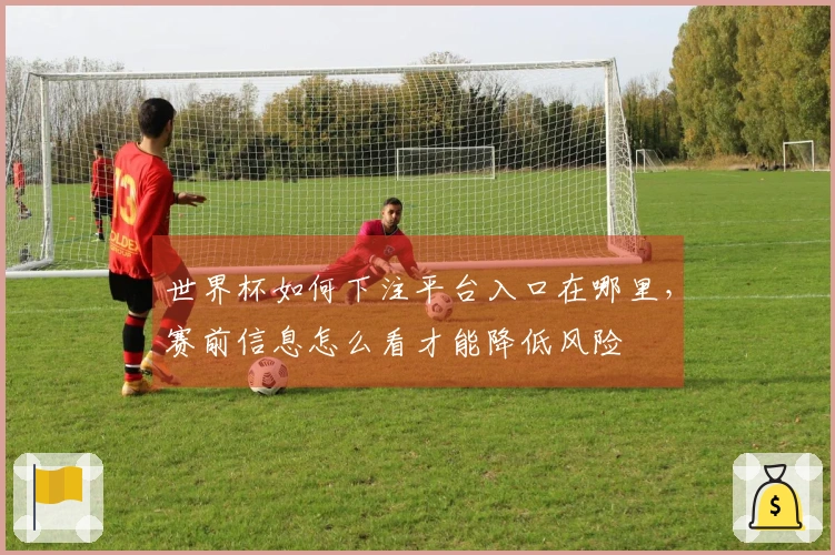 世界杯如何下注平台入口在哪里,赛前信息怎么看才能降低风险