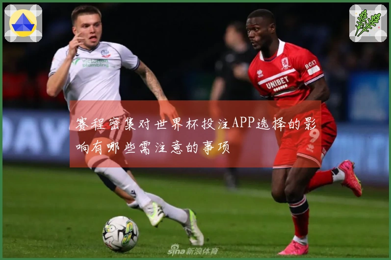 赛程密集对世界杯投注APP选择的影响有哪些需注意的事项