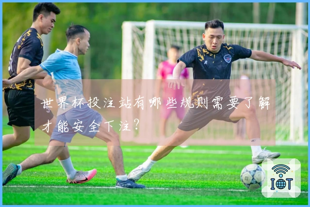 世界杯投注站有哪些规则需要了解才能安全下注?