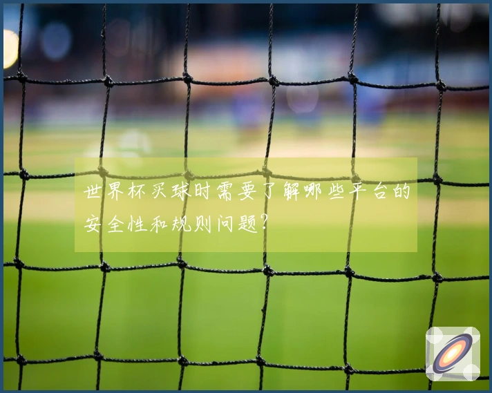 世界杯买球时需要了解哪些平台的安全性和规则问题?