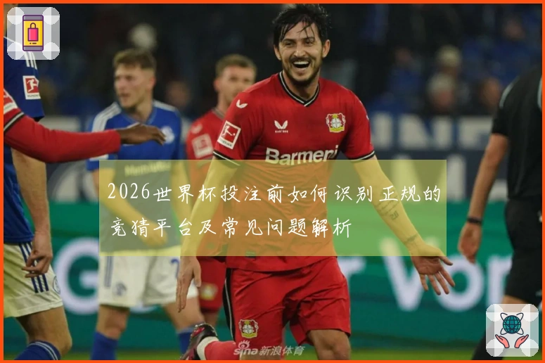 2026世界杯投注前如何识别正规的竞猜平台及常见问题解析