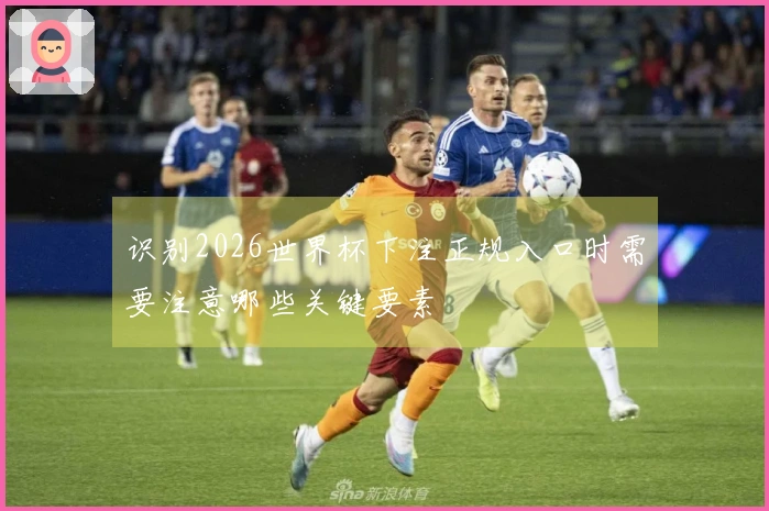 识别2026世界杯下注正规入口时需要注意哪些关键要素