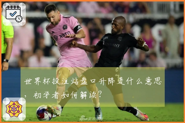 世界杯投注站盘口升降是什么意思，初学者如何解读？