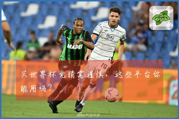 买世界杯竞猜需谨慎，这些平台你能用吗？