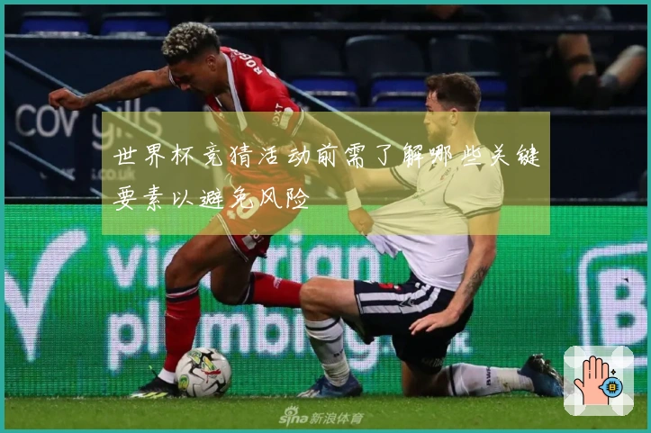 世界杯竞猜活动前需了解哪些关键要素以避免风险